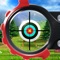 Archery Club is a multiplayer archery game with multiple exciting game types and an extensive upgrade system