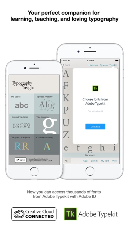 Typography Insight for iPhone screenshot-0