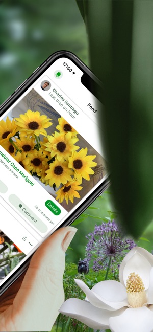 PlantSnap Pro: Identify Plants