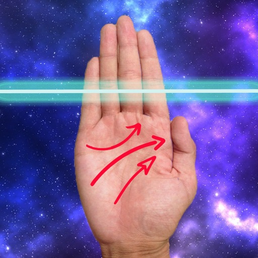 Palm Reader - True Palmistry