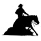 Equiscribe is a comprehensive horse show pattern scoring application designed to streamline the pattern scoring process