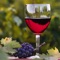 Welcome to the Napa Valley Winery Finder Application