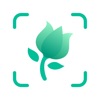 PictureThis - Plant Identifier PictureThis - Plant Identifier