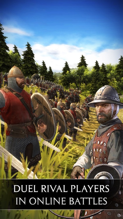 Total War Battles: KINGDOM screenshot-3