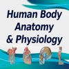 Human Body A&P Practice Test