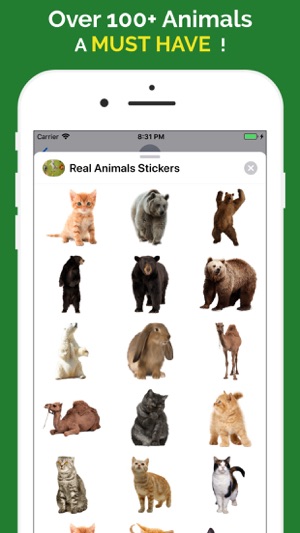 Real Animals Emoji Stickers(圖2)-速報App