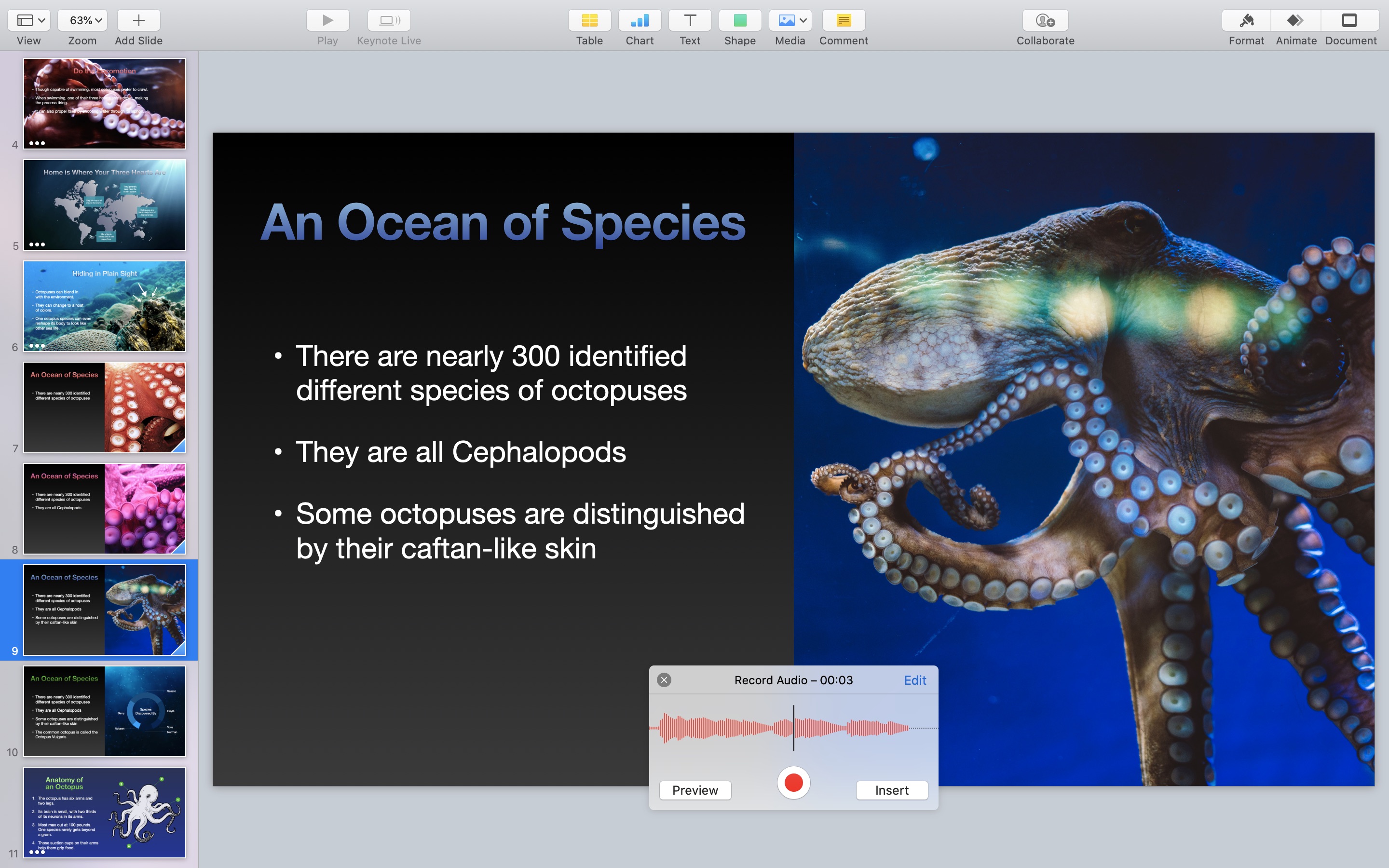 Screenshot do app Keynote