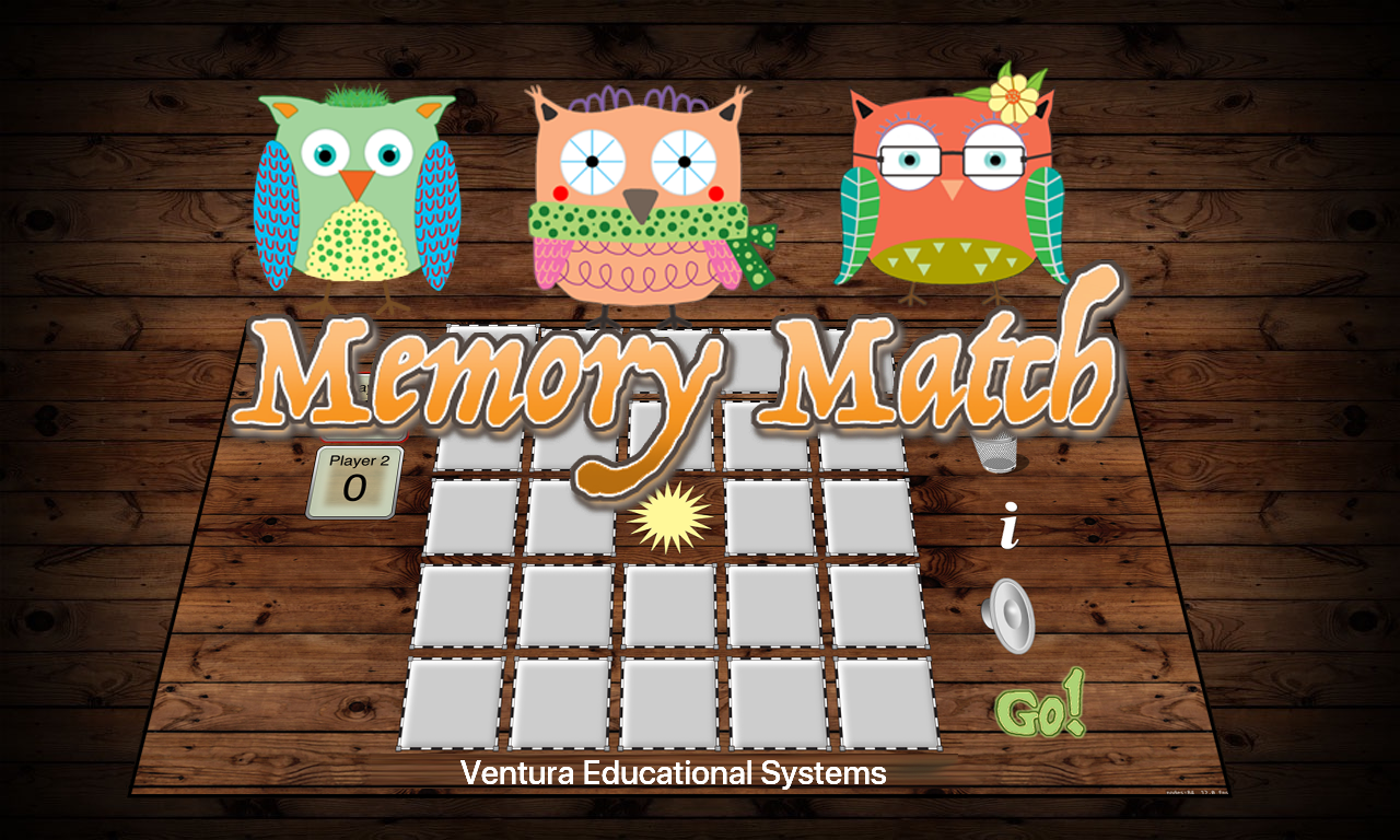 Owl Memory Match