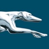 Greyhound (US)