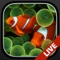 Stunning, aquarium themed Live Wallpaper on your iPhone