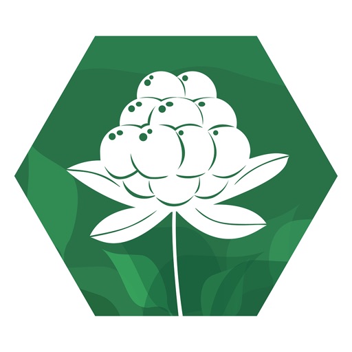 Spiselige vekster i naturen Download