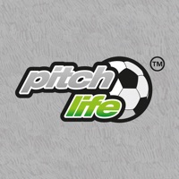 Pitchlife Football pour PC