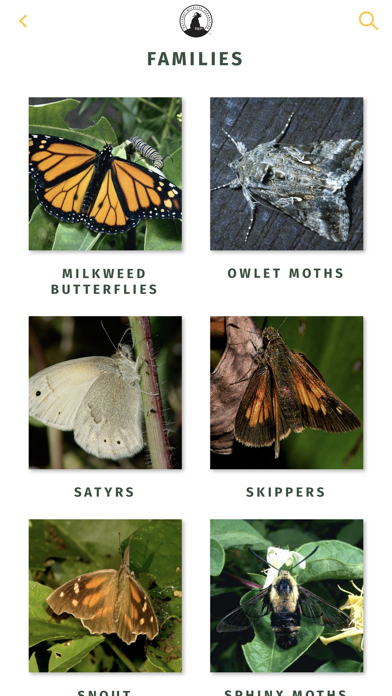 NWF Guide to Butterflies screenshot 2