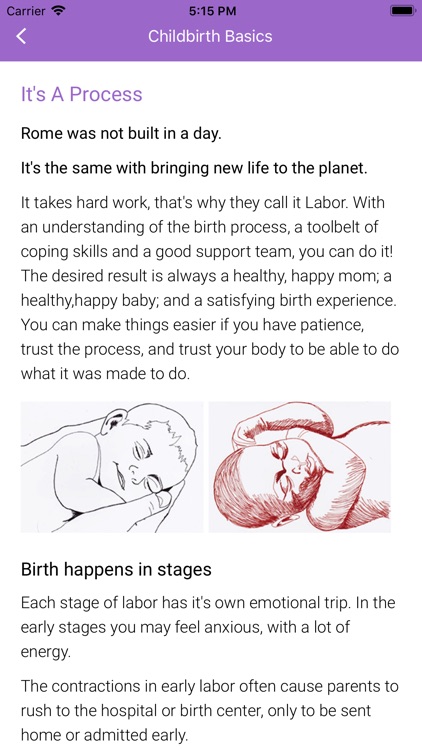 Childbirth Basics screenshot-4