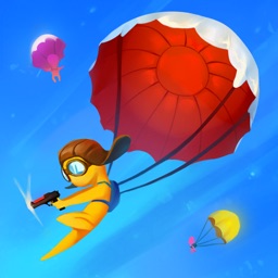 Fun skydiver