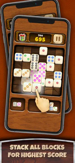 Game screenshot Domino Merge Block Puzzle hack