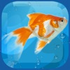 AquaLife 3D AquaLife 3D