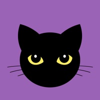 匿名電話チャットアプリ アノニム Pc ダウンロード Windows バージョン10 8 7 21