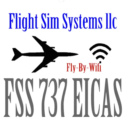 FSS 737 EICAS Читы