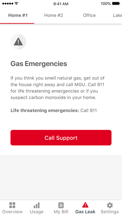 Michigan Gas Utilities (MGU) screenshot 4