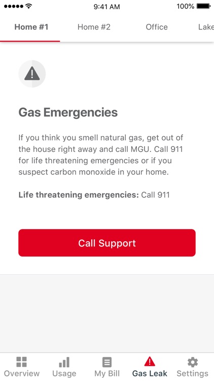 Michigan Gas Utilities (MGU) screenshot-3