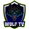 WolfTv is a complete user-defined Advanced IPTV solutions for live and VOD streams