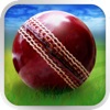 Cricket WorldCup Fever Deluxe