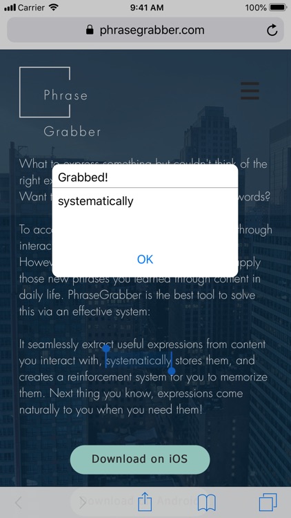 PhraseGrabber screenshot-3