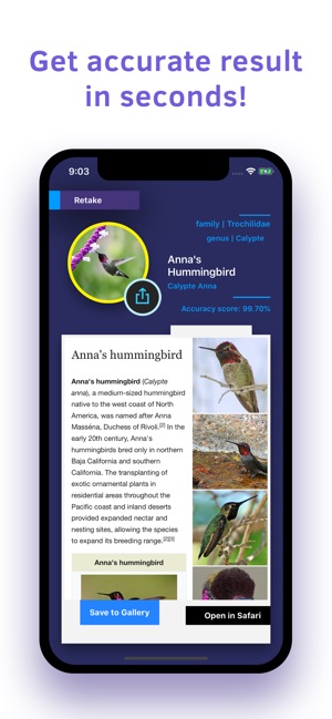 Bird Identification(圖2)-速報App