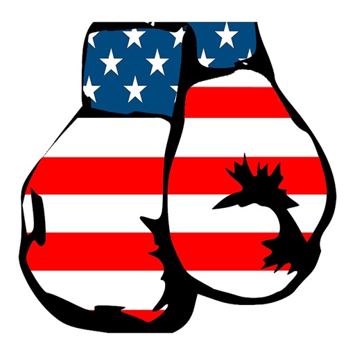 Election Fight 2020 - 12 to 6 Studios LLC