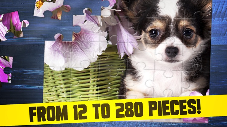 Cute Dogs Puppy Jigsaw Puzzle