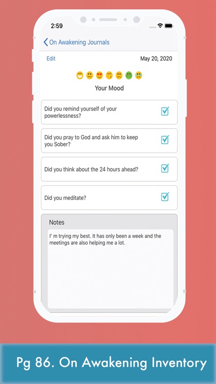 AA 12 Step Toolkit RecoveryBox screenshot-9