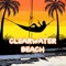 Download the Clearwater Beach app to get all your information you need on your vacation