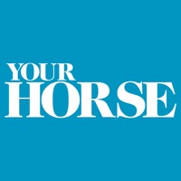 Your Horse