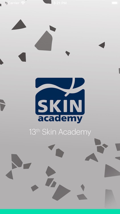 13th Skin Academy