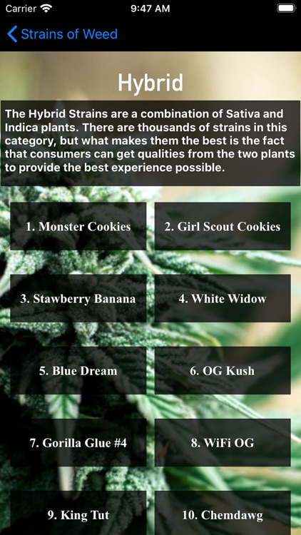 Strains of Weed