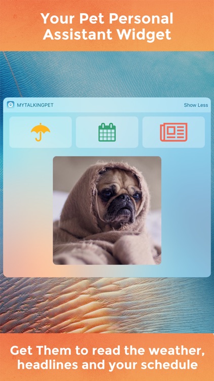My Talking Pet screenshot-4