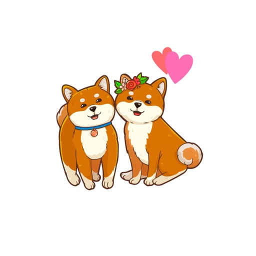 Shiba Family