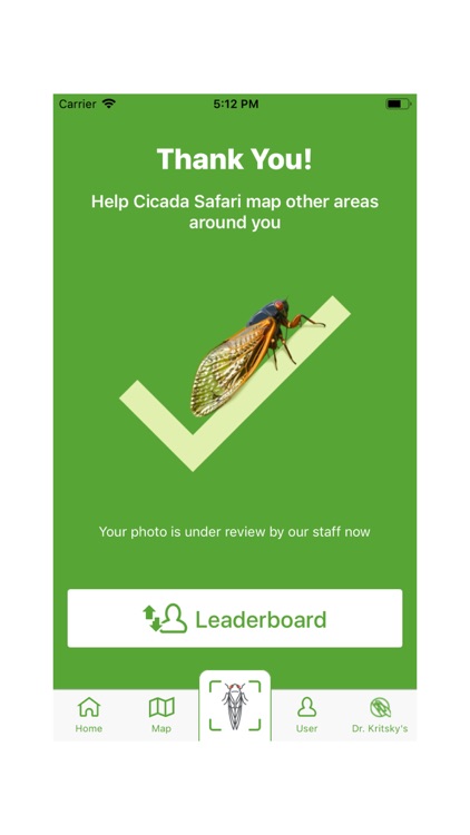 Cicada Safari screenshot-3