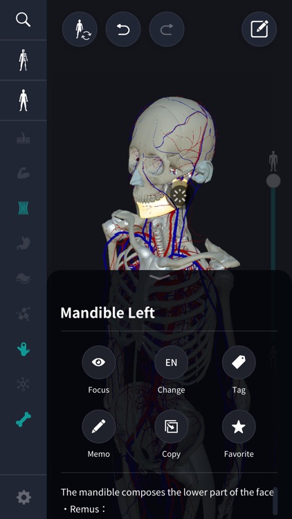3D anatomy teamLabBody2020 screenshot-5