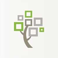 FamilySearch Stammbaum app funktioniert nicht? Probleme und Störung