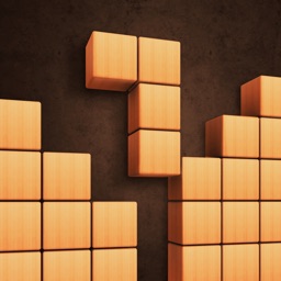 Fill Wooden Block: Cube Puzzle
