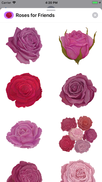 Roses for Friends Stickers screenshot 4