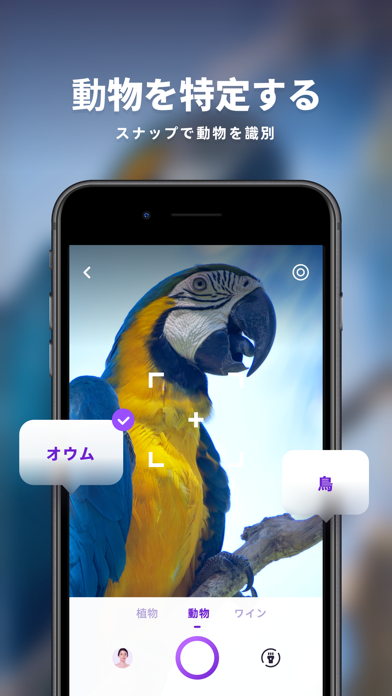 マジカルスキャナー-顔の予測とテキスト翻訳のおすすめ画像6