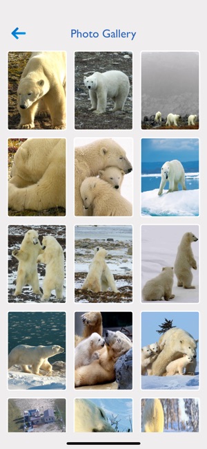 Wapusk National Park(圖4)-速報App