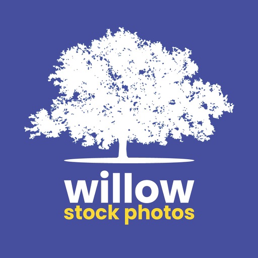 Willow Stock Photos