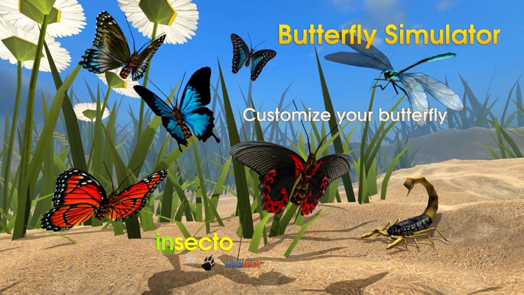 Butterfly Simulator