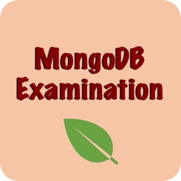 MongoDB Examination