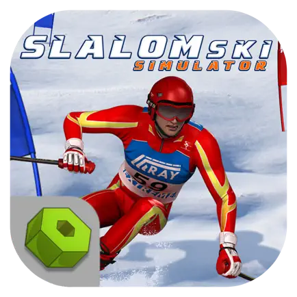 Slalom Ski Simulator Читы