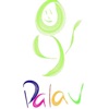 Palav Life Connect